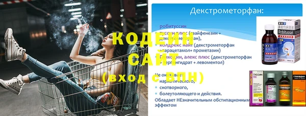 крисы Бронницы