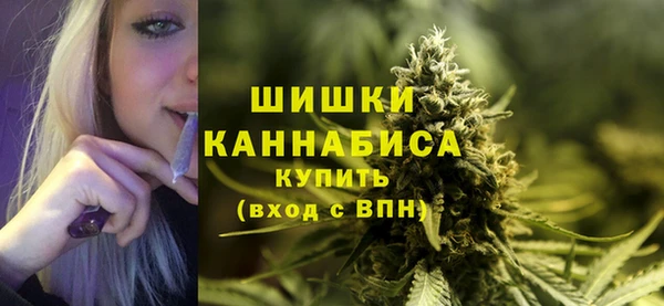 крисы Бронницы
