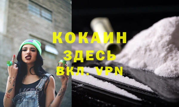 крисы Бронницы