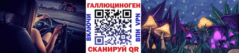 купить наркотик Каменск-Уральский kraken рабочий сайт Галлюциногенные грибы Psilocybe